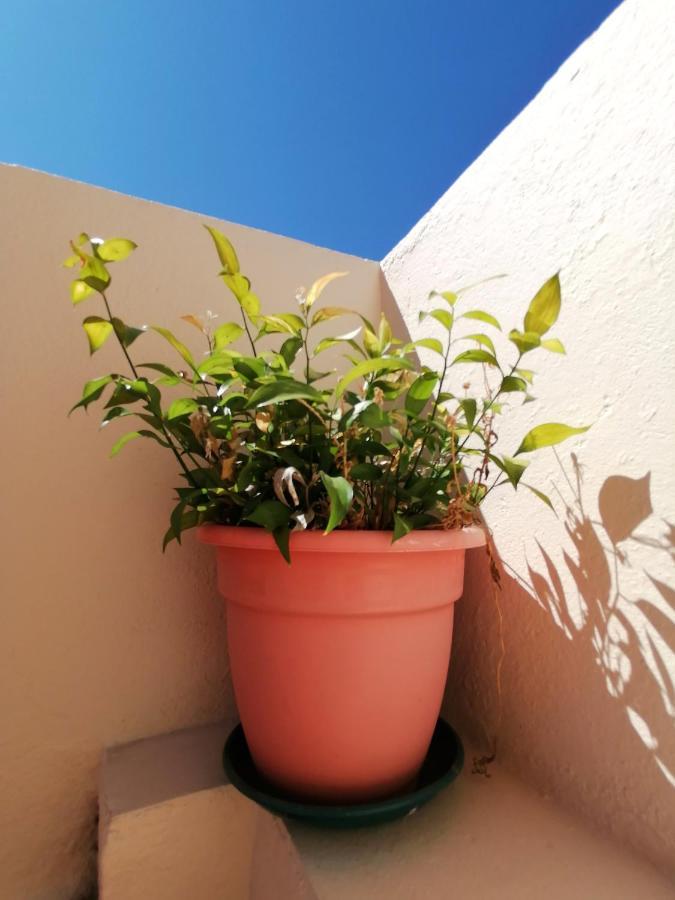 Apartamento Penha T3 FAO Exterior foto